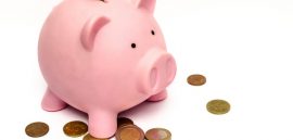 INVESTMENT LINKED PLAN